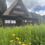 五箇山グルメ＆チューリップフェア